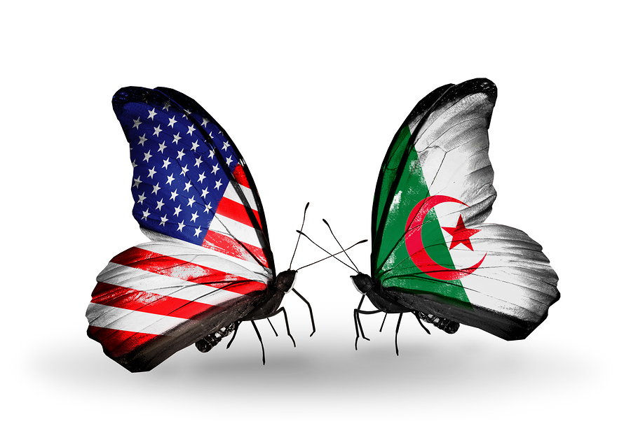 Two butterflies with flags on wings as symbol of relations USA and Algeria
