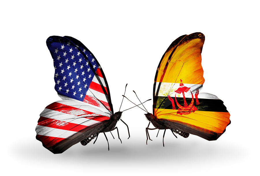 Two butterflies with flags on wings as symbol of relations USA and Brunei