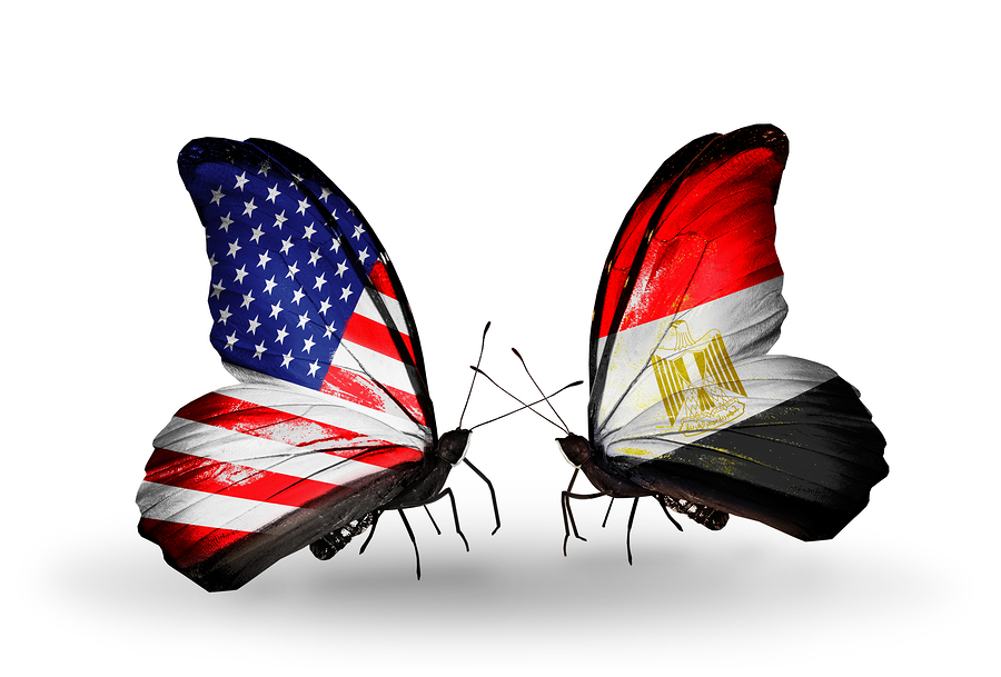 Two butterflies with flags on wings as symbol of relations USA and Egypt