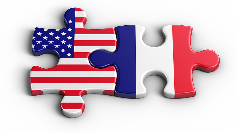 3d rendering of an american puzzle piece and a French