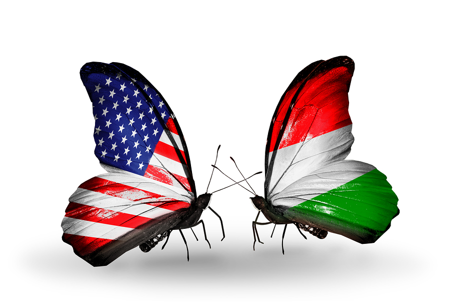 Two butterflies with flags on wings as symbol of relations USA and Hungary
