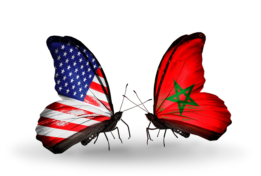 Two butterflies with flags on wings as symbol of relations USA and Morocco