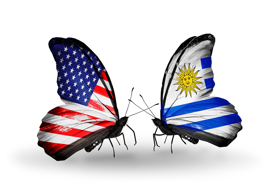 Two butterflies with flags on wings as symbol of relations USA and Uruguay