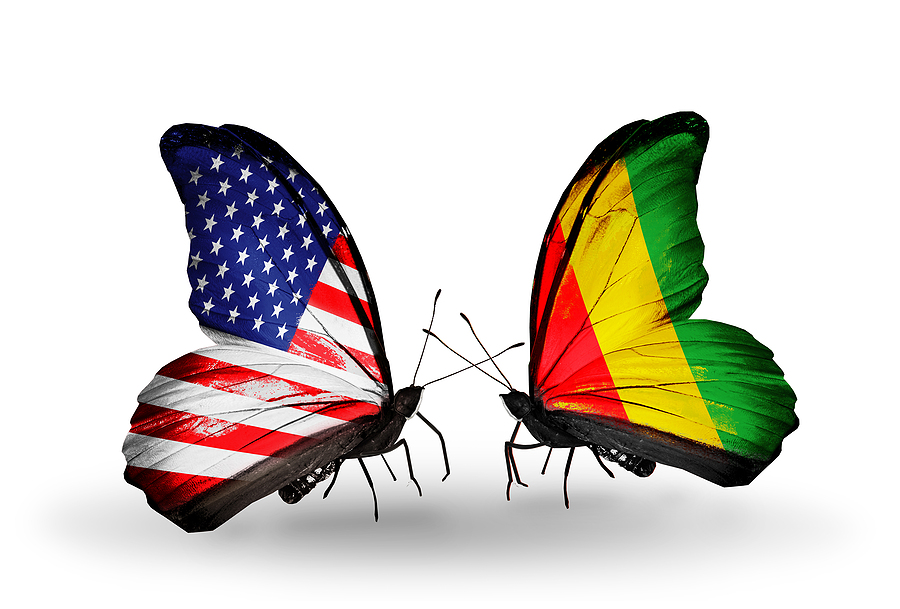 Two butterflies with flags on wings as symbol of relations USA and Guinea