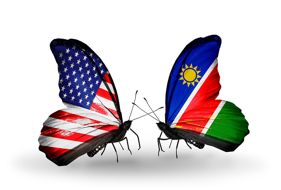 Two butterflies with flags on wings as symbol of relations USA and Namibia