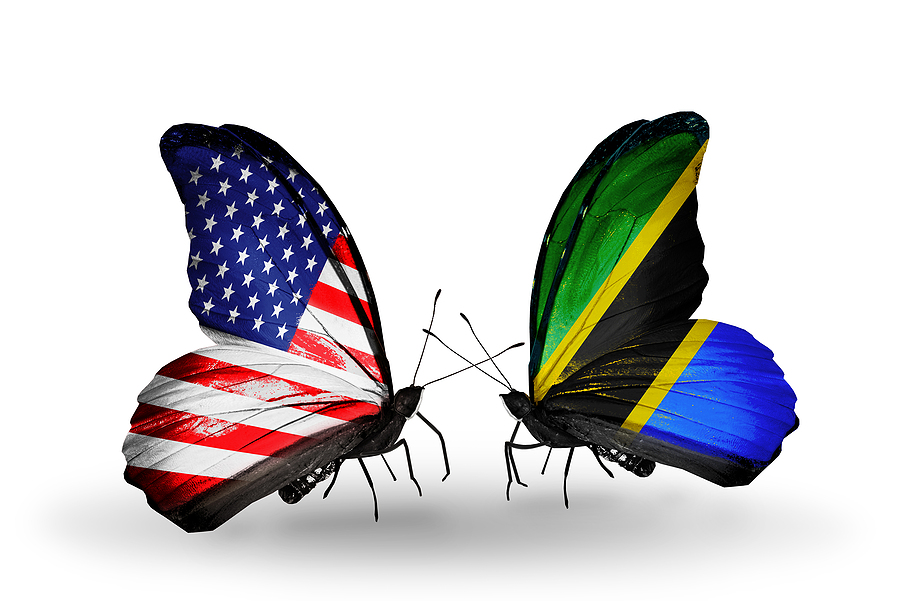 Two butterflies with flags on wings as symbol of relations USA and Tanzania